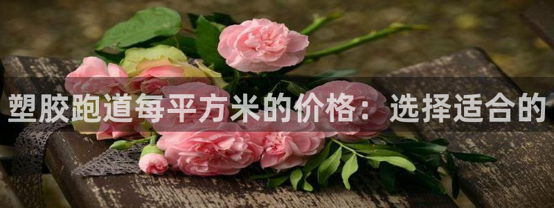 红足一1世77814：塑胶跑道每平方米的价格：选择适合的