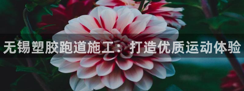 红足一1世比分球探：无锡塑胶跑道施工：打造优质运动体验