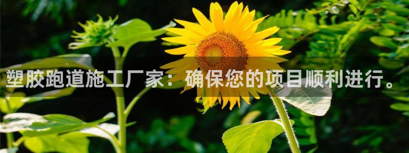 百度红足一1使用说明：塑胶跑道施工厂家：确保您的项目顺利进行。