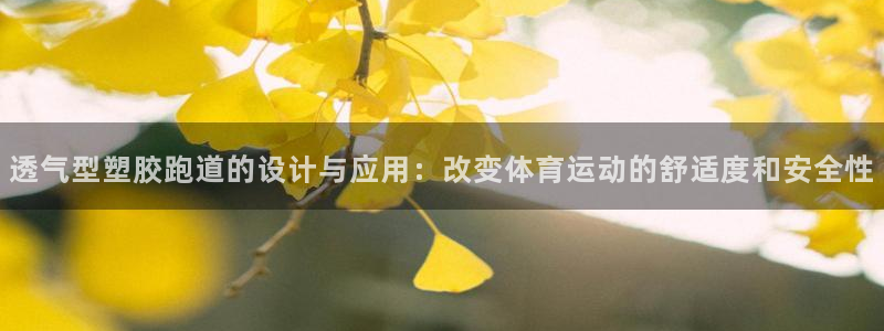 55814红足1世：透气型塑胶跑道的设计与应用：改变体育运动的舒适度和安全性