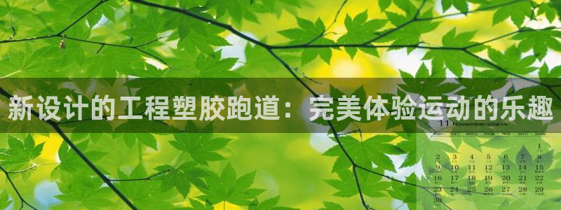 333814红足1世：新设计的工程塑胶跑道：完美体验运动的乐趣