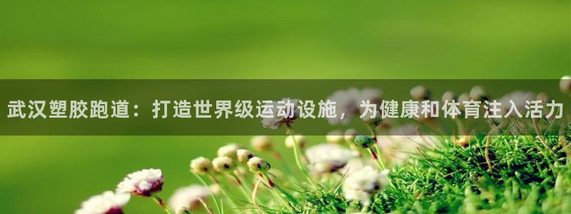 红足一1世皇冠：武汉塑胶跑道：打造世界级运动设施，为健康和体育注入活力