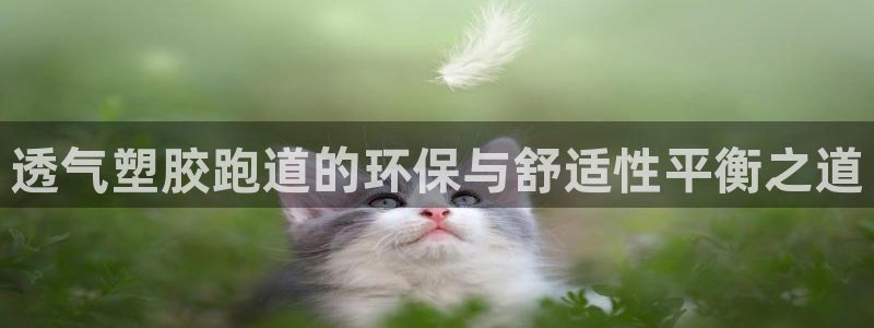 红足一1世开奖记录：透气塑胶跑道的环保与舒适性平衡之道