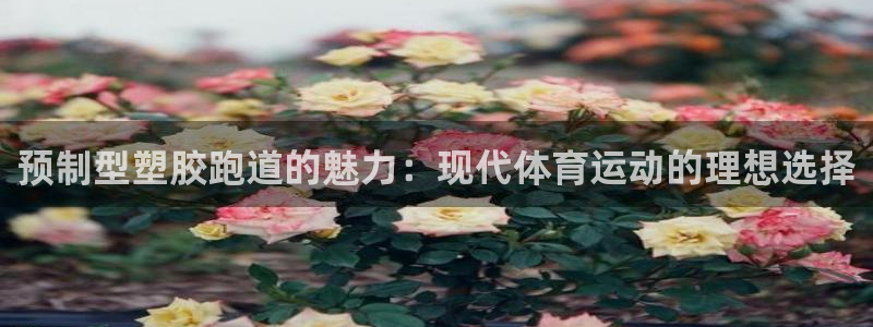 4633333开奖结果4176一点红：预制型塑胶跑道的魅力：现代体育运动的理想选择