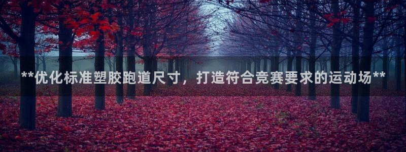 红足1世足球比分：**优化标准塑胶跑道尺寸，打造符合竞赛要求的运动场**