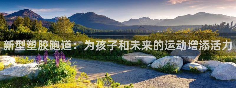 红足一1世官网：新型塑胶跑道：为孩子和未来的运动增添活力