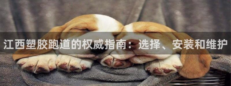 红足一1世即时比分：江西塑胶跑道的权威指南：选择、安装和维护