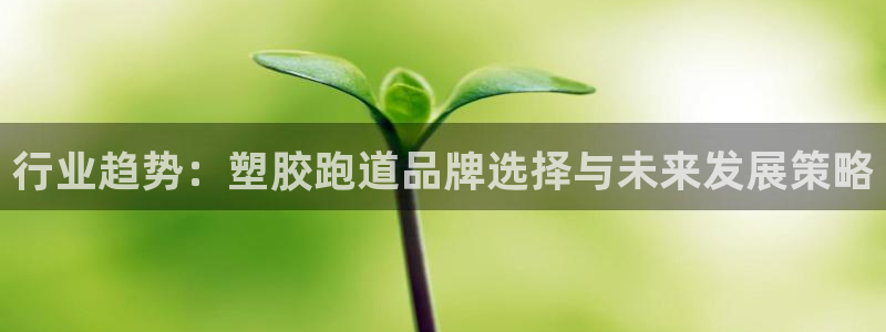 4633333开奖结果4176一点红：行业趋势：塑胶跑道品牌选择与未来发展策略