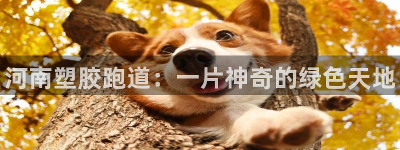 红足一1世官网比分：河南塑胶跑道：一片神奇的绿色天地