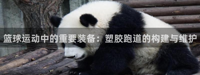 红足一1世比分：篮球运动中的重要装备：塑胶跑道的构建与维护