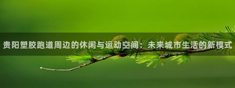 红足一1世开奖记录：贵阳塑胶跑道周边的休闲与运动空间：未来城市生活的新模式