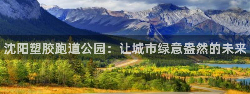 红足一一世：沈阳塑胶跑道公园：让城市绿意盎然的未来