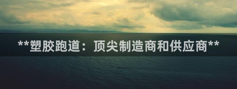 红足一1世：**塑胶跑道：顶尖制造商和供应商**