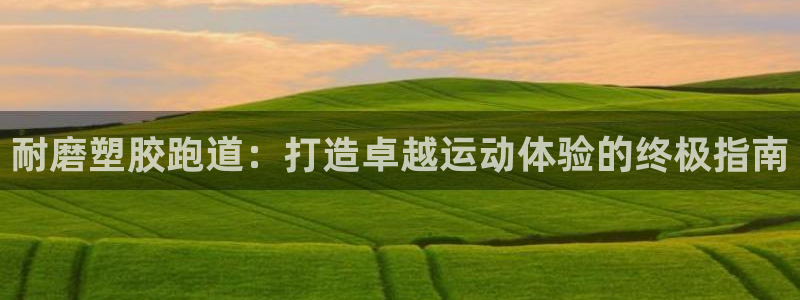 红足一1世66814：耐磨塑胶跑道：打造卓越运动体验的终极指南