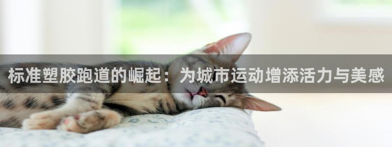 红足网足球直播