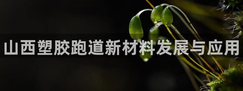 红足1世足球网址