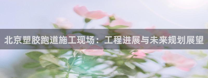 红足一丰:北京塑胶跑道施工现场:工程进展与未来规划展望