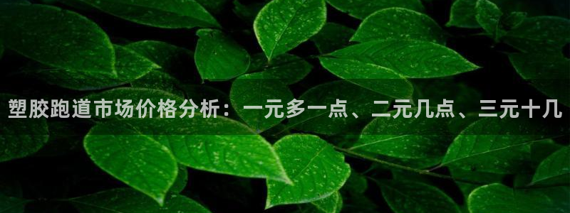 红足 世足球手机网：塑胶跑道市场价格分析：一元多一点、二元几点、三元十几